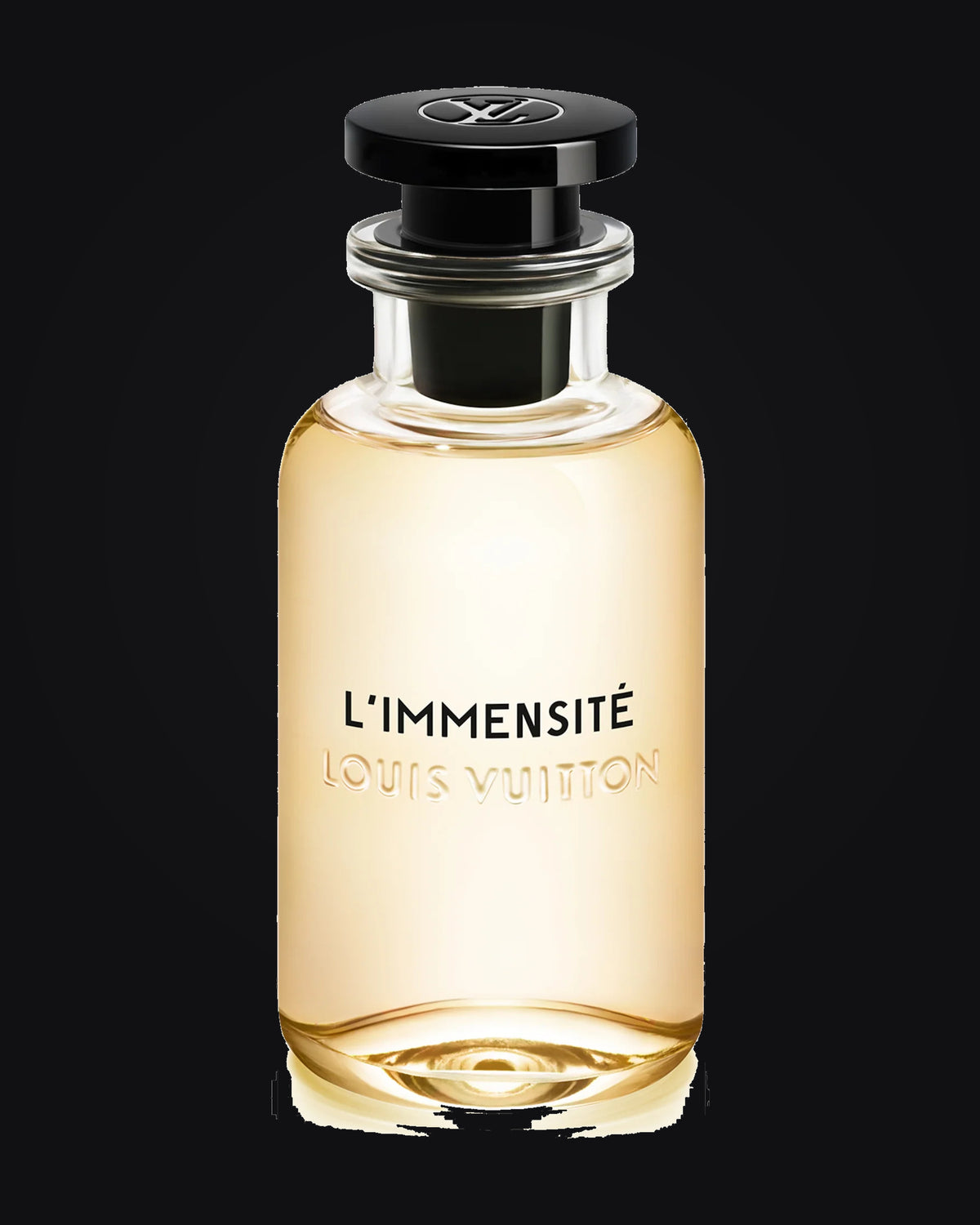 L'Immensité