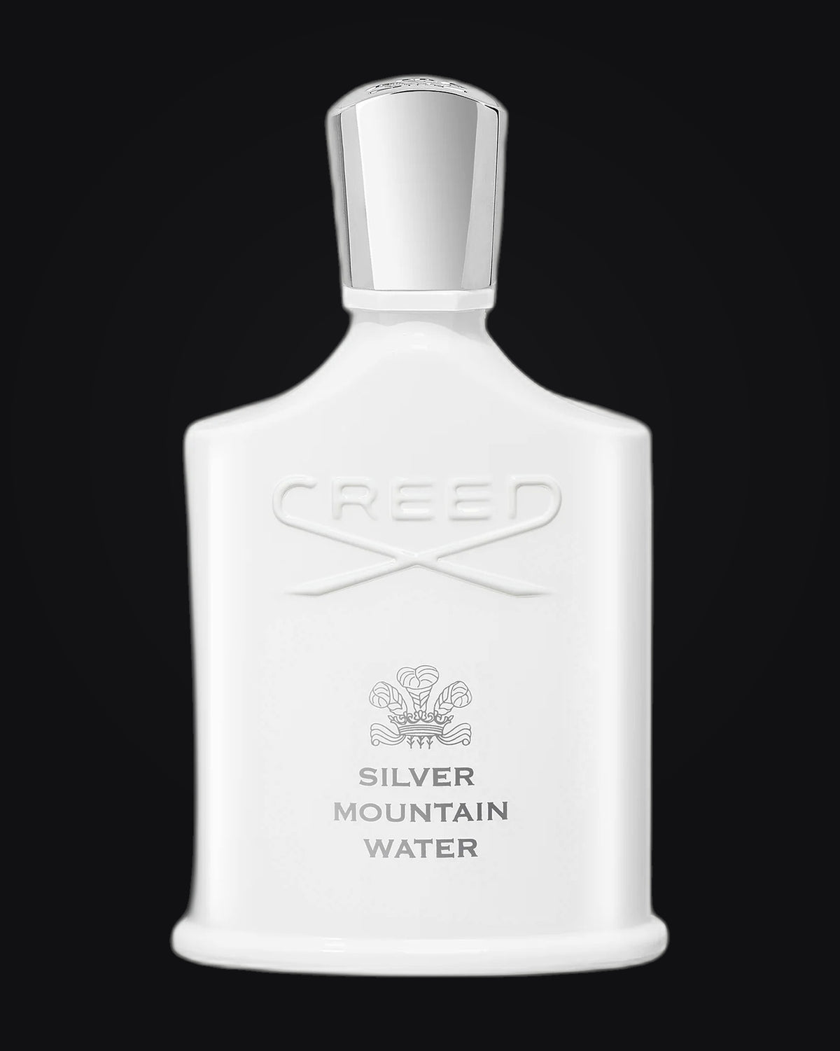 Silver Mountain Water